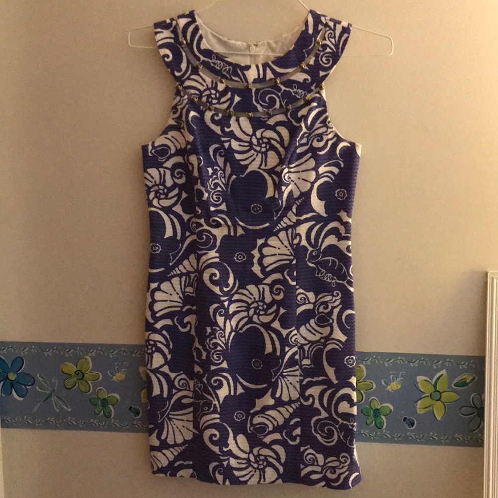Blue and White Lilly Dress: Size 2